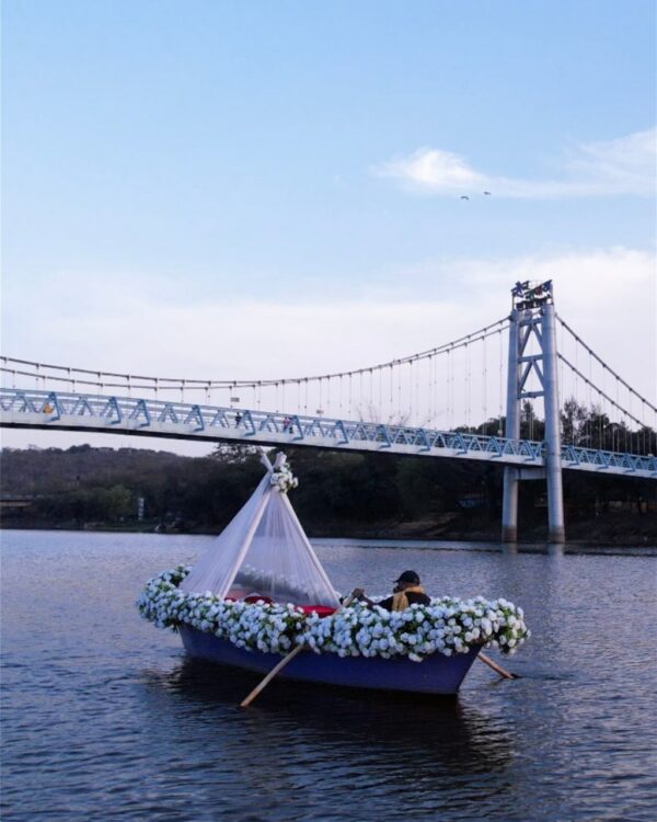 The Boat